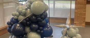 IMG_7203 IMG_7203